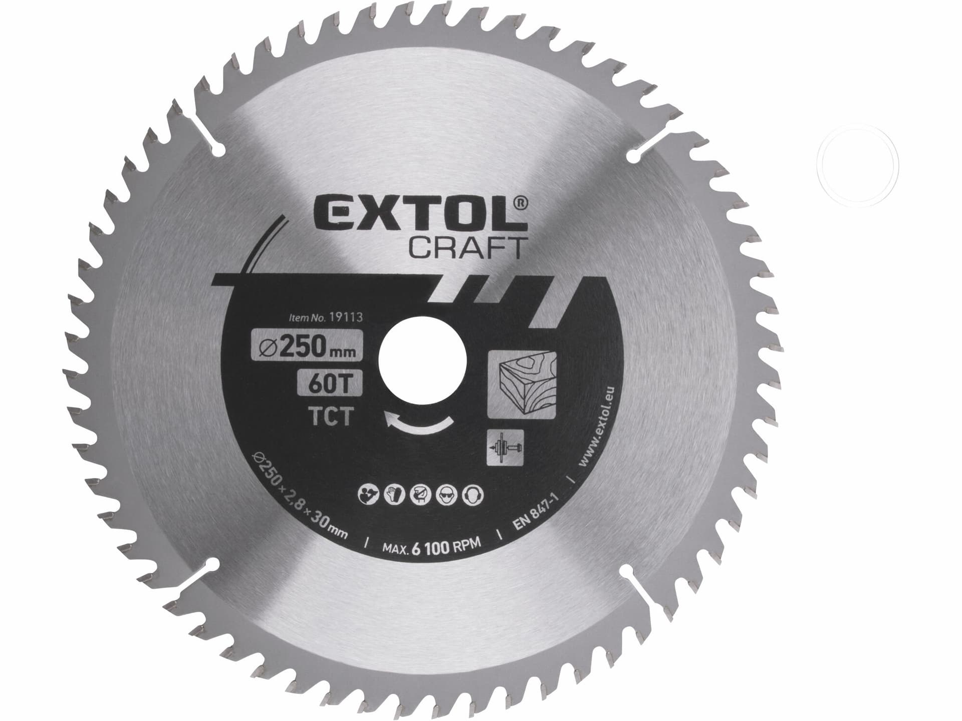 Kotúč pílový s SK plátkami, 250x1,8x30mm, 60z